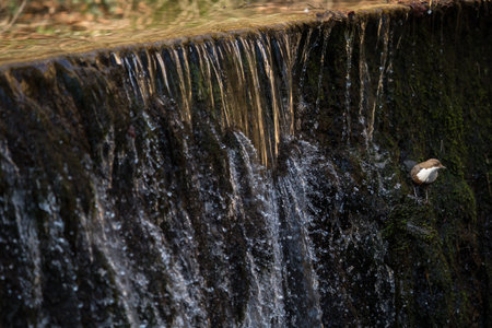 Water concept - river water flowing with light reflecting of its surface - fast exposure shotの写真素材