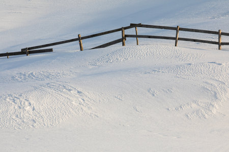 Snowy winter day scenic landscape with tols of snowの写真素材