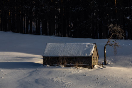 Mountain snowy chalet in Swiss Alpsの写真素材