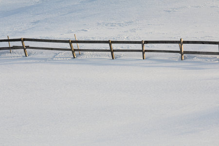 Snowy winter day scenic landscape with tols of snowの写真素材