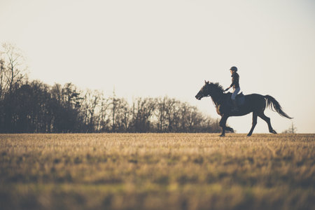 Female horse rider riding outdoors on her lovely horseの写真素材