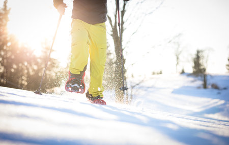 Snowshoeing in winter in deep snow. Walking in the snow. Hiking in the mountains in winter.の写真素材