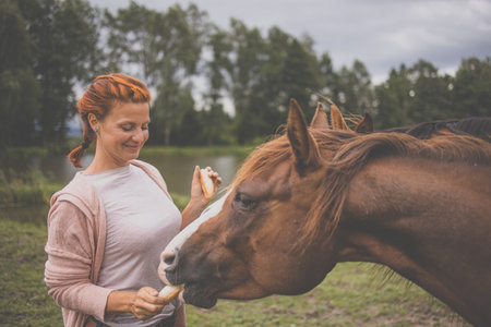 Pretty, young, redhead woman with her lovely horse, during her favorite leisureの写真素材