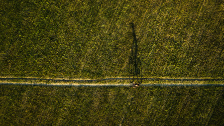 Aerial image of a biker on a mountain bike amid fields outdoorsの写真素材