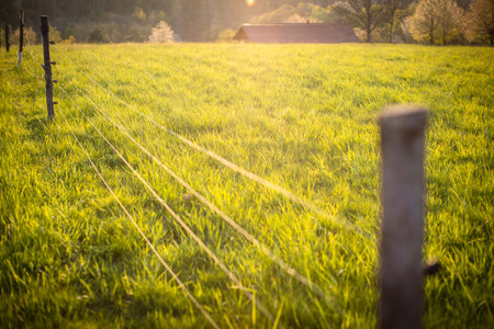 Electric fence around a pasture with animals grazing on fresh pasture grassの写真素材