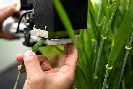 Scientists using a dedicated specialty device for measuring the chlorophyll and nitrogen content in plant leavesの写真素材