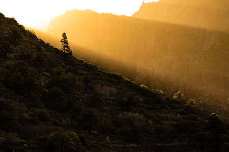 Early morning in Masca valley, Tenerife, Spain - High Repollution Panoramic Imageの写真素材