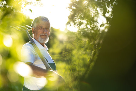 Senior gardener gardening in his permaculture garden - holding a digging forkの写真素材