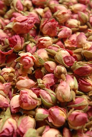 Rose budsの写真素材