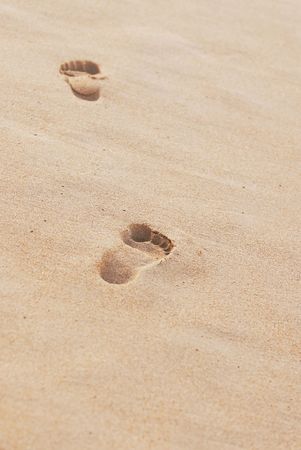 Follow my footsteps