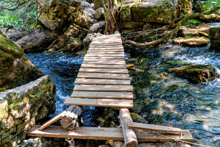 A small wooden bridge over a creek within a forest.の写真素材