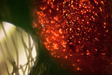 Lights and Christmas toys on the christmas tree with Blurred abstract dark background!の写真素材