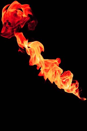 Red fire flames in the shape of the bear on a black backgroundの写真素材