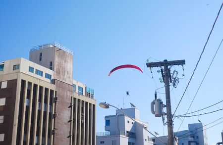 Paraglider is flying to the blue sky in summer day, view from the land throw the grassの写真素材
