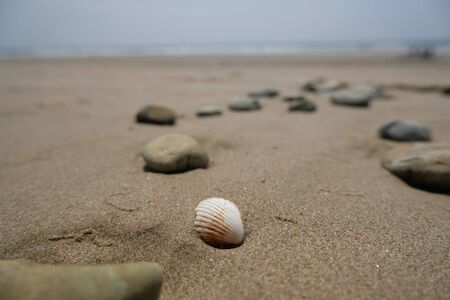 Close up of shell on sandy beach with sea and sky backgroundの写真素材