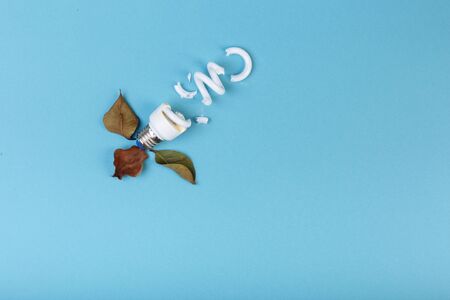 Concept of ecology pollution: broken fluorescent spiral tube lamp energy-saving lamp surrounded by dead ficus leaves on a blue background. Caution poisonous fumes. space for caption.の写真素材