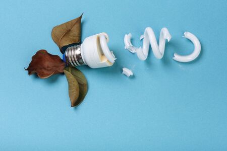 Concept of ecology pollution: broken fluorescent spiral tube lamp energy-saving lamp surrounded by...