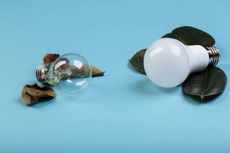 Concept Eco energy-saving LED lamp advantages over an incandescent lamp. Two lamps lying near to...