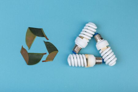 Three leaves of ficus and Three Energy saving lamp in shape eco green energy recycling isolated on the blue, caption for textの写真素材