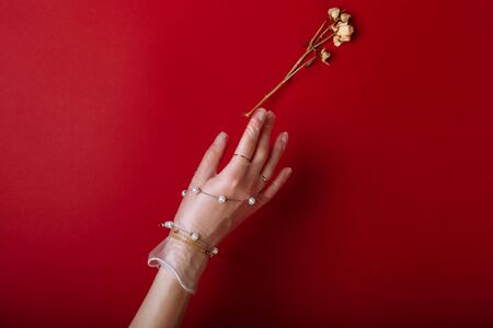 Fashion art hand woman in the glove with Jewelry in summer time and flowers behind her hand with bright contrasting makeup. Creative beauty photo hand skincare.の写真素材