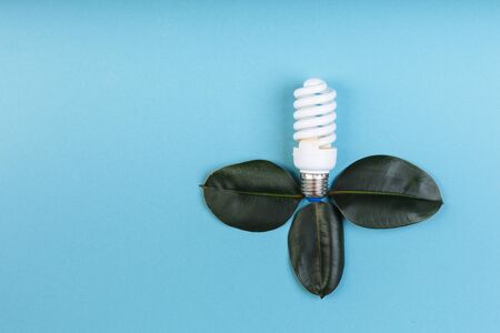 energy-saving fluorescent lamp with green leaf, ECO energy concept, Mixed media. Isolated, place for caption and textの写真素材