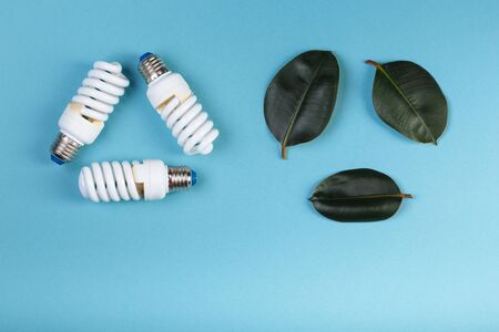 Three leaves of ficus and Three Energy saving lamp in shape eco green energy recycling isolated on the blue, caption for textの写真素材
