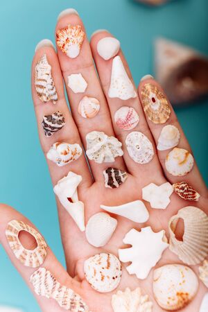 Macro of hand holding different kinds of seashells, corals in front of a blue background, isolated with a caption for text. Vacation concept.の写真素材