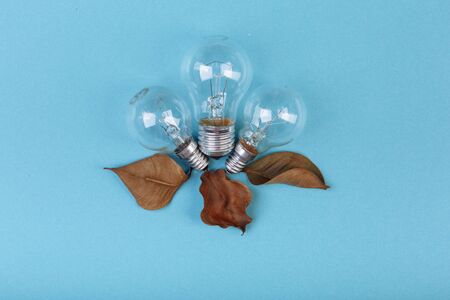 The incandescent lamp lying near to died lives of ficus. The concept of waste electricity, money background.の写真素材
