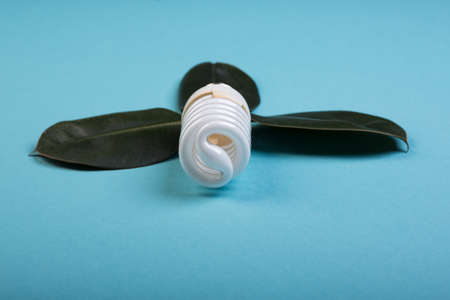 Energy-saving fluorescent lamp with green leafの写真素材