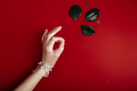 Hand with white medical latex glove with jewelry is showing OK near to green leaves. luxury and ecological concept.の写真素材