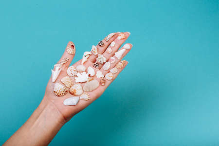 Closeup of hand holding different kinds of seashells, corals in front of a blue background, isolated with a caption for text. Vacation conceptの写真素材