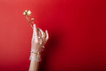 Fashion art hand woman in the glove with Jewelry in summer time and flowers behind her hand with bright contrasting makeup. Creative beauty photo hand skincareの写真素材