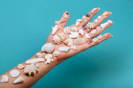 Closeup of hand holding different kinds of seashells, corals in front of a blue background, isolated with a caption for text. Vacation conceptの写真素材