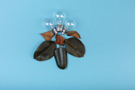 The incandescent lamp lying near to died lives of ficus. The concept of waste electricity, money...