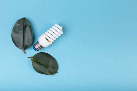 Energy-saving fluorescent lamp with green leaf, ECO energy conceptの写真素材