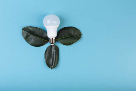 LED lamp with green leaf, ECO energy concept, Mixed media. Isolated, place for caption and textの写真素材