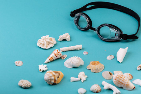 Seashells, corals, conches lying on the blue background, isolated with a caption for text. Vacation memory concept.の写真素材
