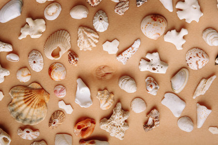 Different kinds of seashells, corals on woman body macro detail structure