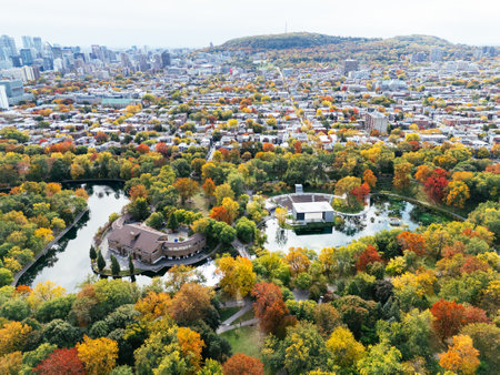 A public park, autumn leaf color change, buildings skyscrapers downtown in the background.の写真素材