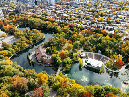 A public park, autumn leaf color change, buildings skyscrapers downtown in the background.の写真素材