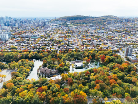 A public park, autumn leaf color change, buildings skyscrapers downtown in the background.の写真素材