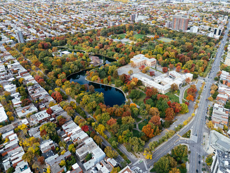 A public park, autumn leaf color change, buildings skyscrapers downtown in the background.の写真素材