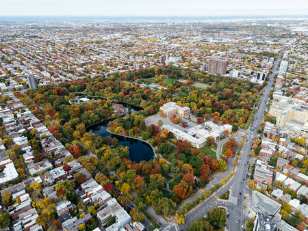 A public park, autumn leaf color change, buildings skyscrapers downtown in the background.の写真素材