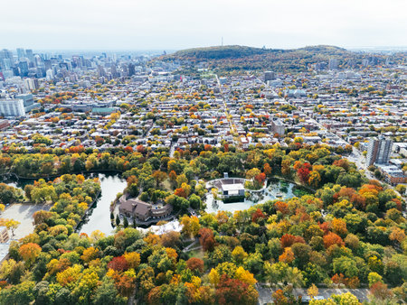 A public park, autumn leaf color change, buildings skyscrapers downtown in the background.の写真素材
