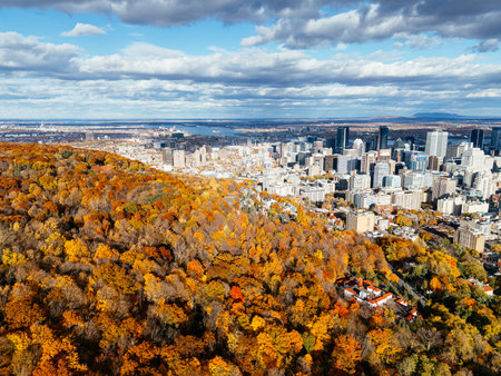 Drone flight above the autumn park with downtown skyscrapers in the background. Mont-Royal park, Montreal, Canada.の写真素材