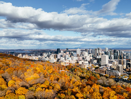 Drone flight above the autumn park with downtown skyscrapers in the background. Mont-Royal park, Montreal, Canada.の写真素材