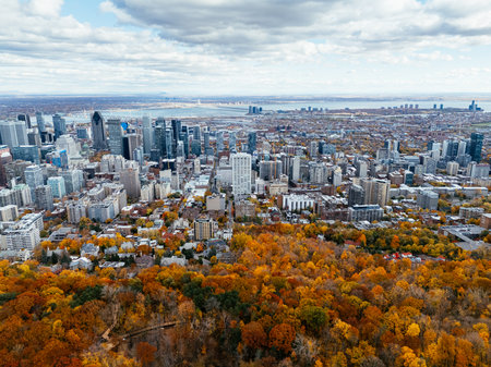 Drone flight above the autumn park with downtown skyscrapers in the background. Mont-Royal park, Montreal, Canada.の写真素材