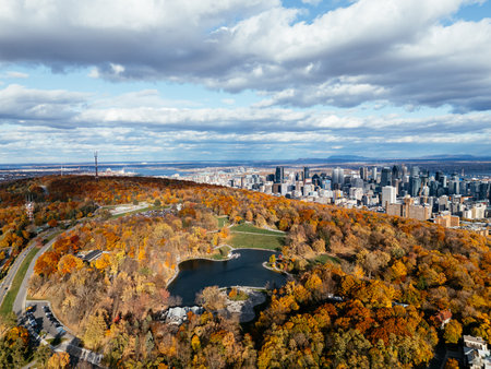 Drone flight above the autumn park with downtown skyscrapers in the background. Mont-Royal park, Montreal, Canada.の写真素材
