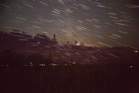 Night star trail sky over illuminated vegetation in foreground, long exposure astrophotography...