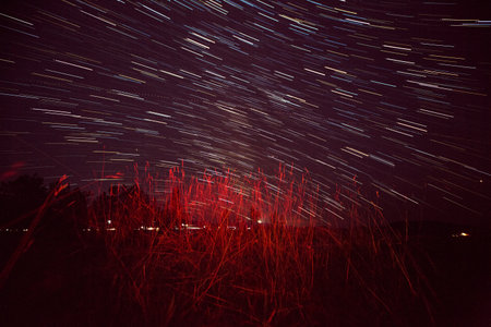 Night star trail sky over illuminated wildflowers in foreground, long exposure astrophotography landscape. g.の写真素材